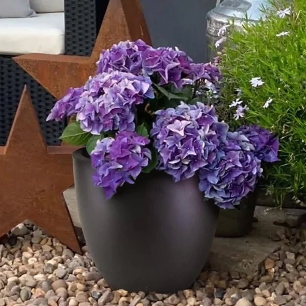 Black Light Concrete Egg Garden Planter D35 H32 cm, 31 ltrs Cap.