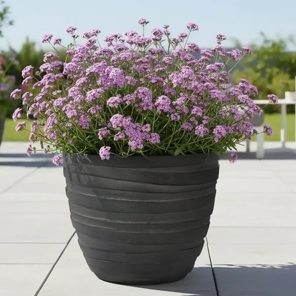 Row Black Light Concrete Egg Garden Planter D37 H32 cm, 34 ltrs Cap.