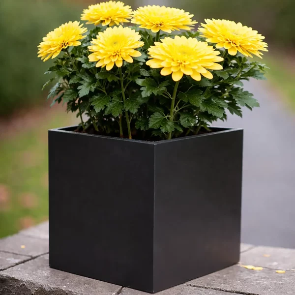 Square Box Black Light Concrete Garden Planter H25 L25 W25 cm, 16 ltrs Cap.