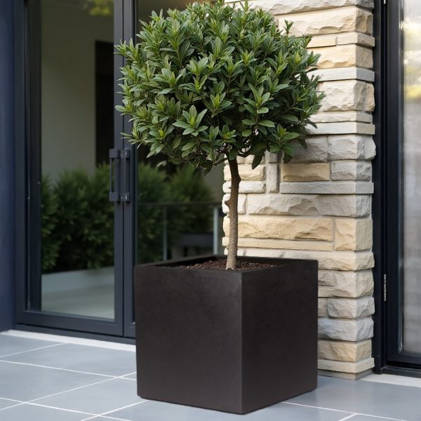 Square Box Black Light Concrete Garden Planter H40 L40 W40 cm, 65 ltrs Cap.