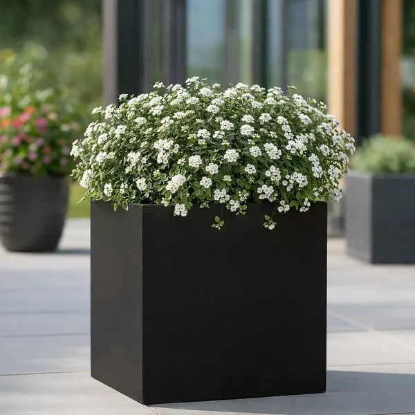 Square Box Black Light Concrete Garden Planter H50 L50 W50 cm, 126 ltrs Cap.