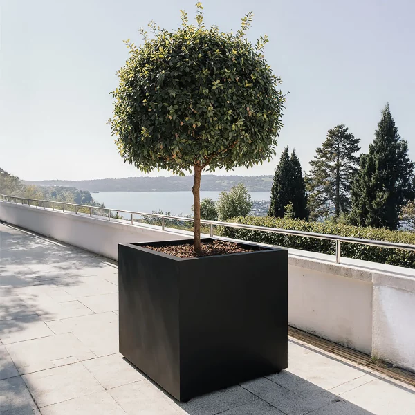 Square Box Black Light Concrete Garden Planter H60 L60 W60 cm, 216 ltrs Cap.
