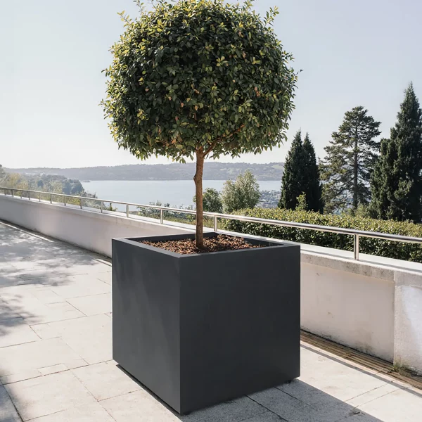 Square Box Faux Lead Light Concrete Garden Planter H60 L60 W60 cm, 216 ltrs Cap.