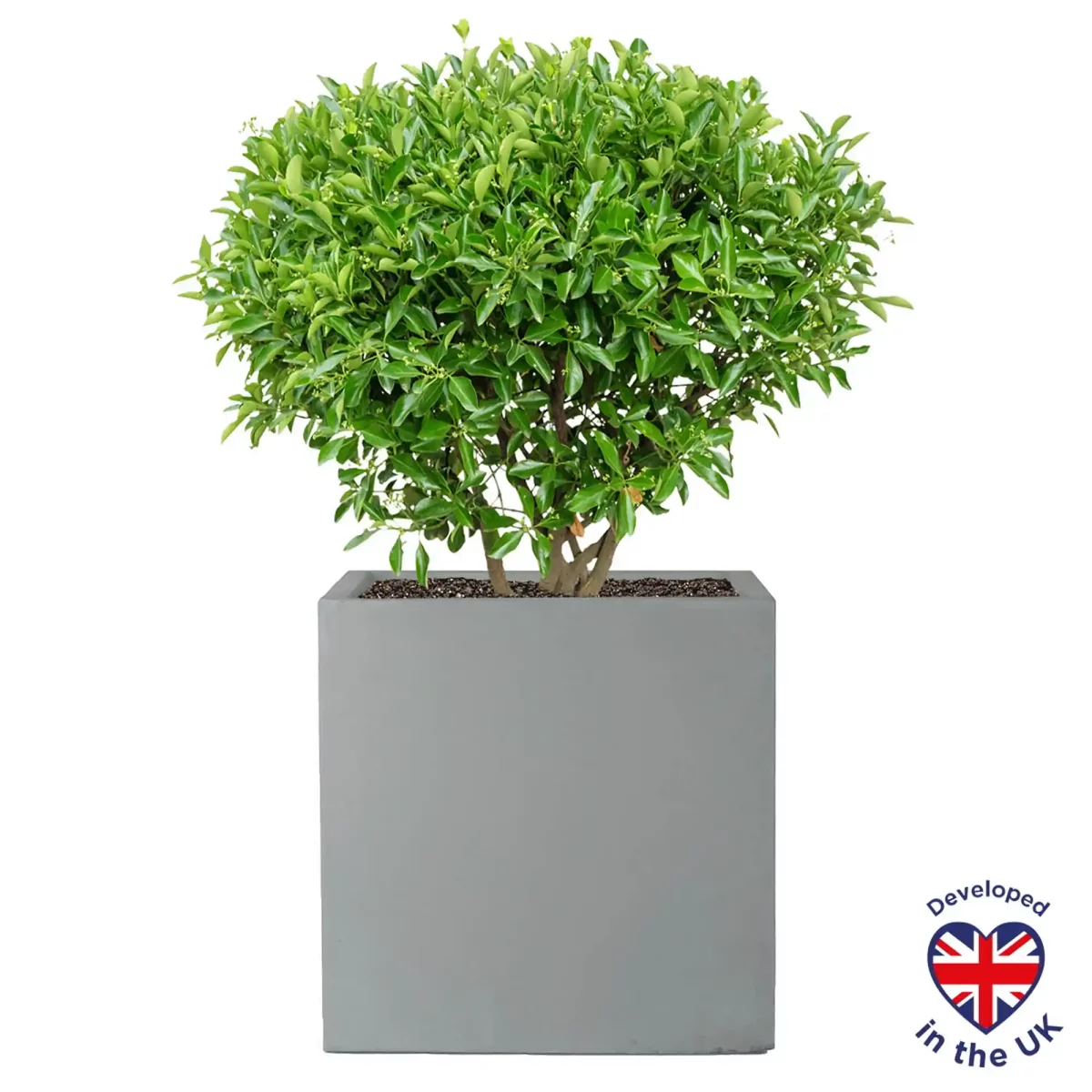 Square Box Grey Light Concrete Garden Planter H30 L30 W30 cm, 27 ltrs Cap.