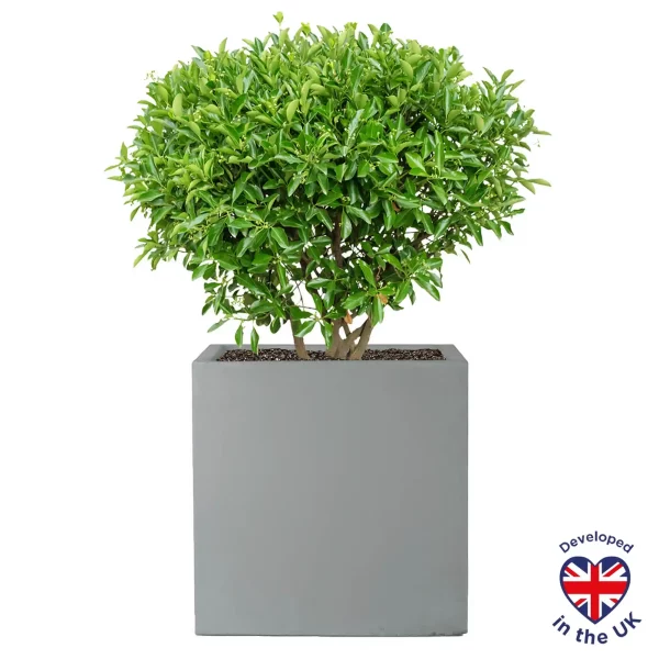 Square Box Grey Light Concrete Garden Planter H30 L30 W30 cm, 27 ltrs Cap.
