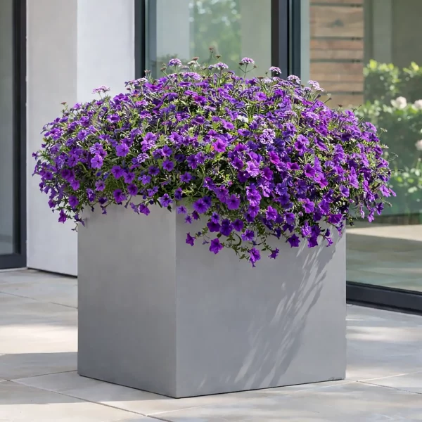 Square Box Grey Light Concrete Garden Planter H60 L60 W60 cm, 216 ltrs Cap.