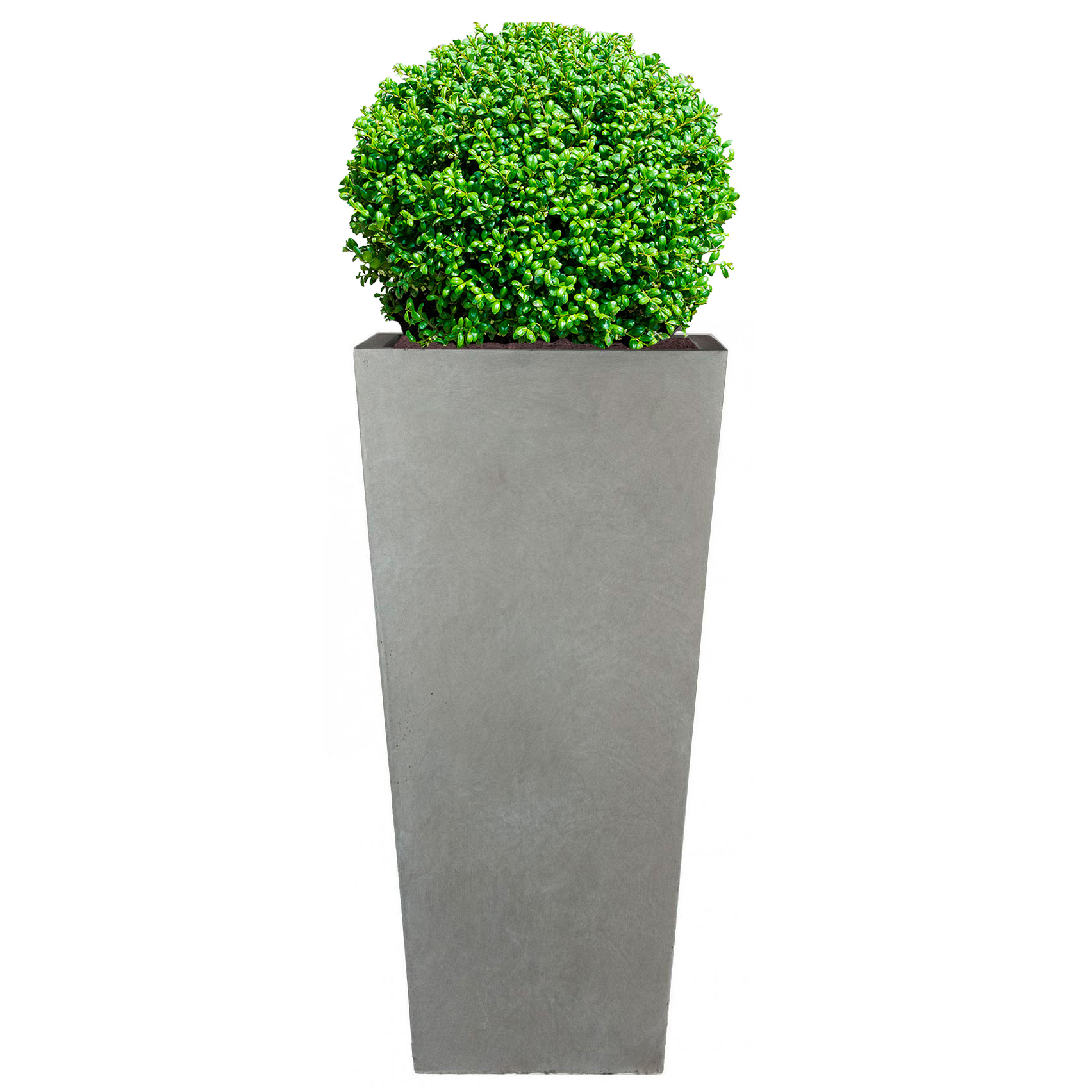 Tall Tapered Contemporary Grey Light Concrete Planter H65 L32 W32 cm, 67 ltrs Cap.