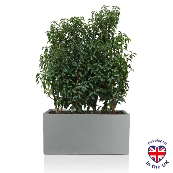 Light Concrete Grey Trough Garden Planter H51.5 L100 W36 cm, 185 ltrs Cap.