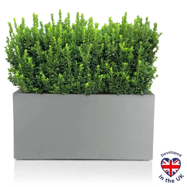 Window Box Light Concrete Grey Outdoor Garden Planter H20.5 L50 W20 cm, 21 ltrs Cap.