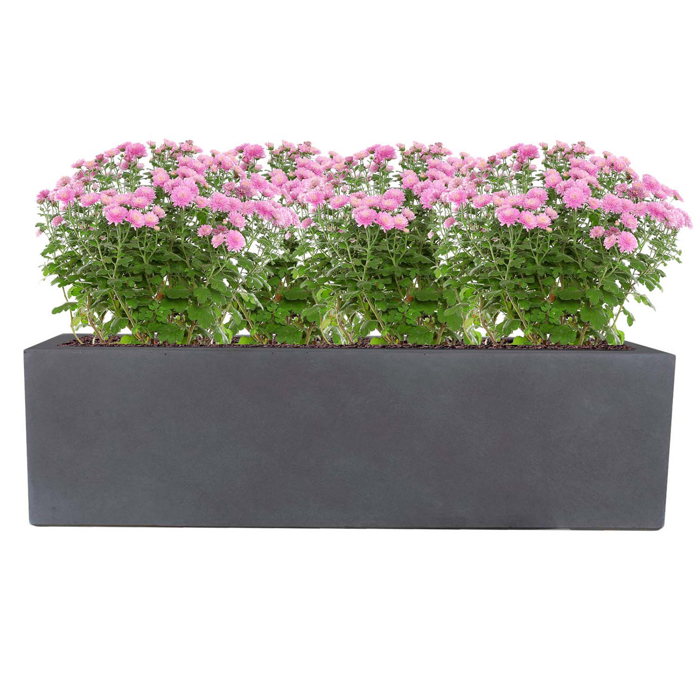 Window Box Light Concrete Black Terazzo Planter L60 W17 H17.5 cm, 18