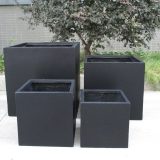 Square Box Contemporary Black Light Concrete Planter H75 L75 W75 cm