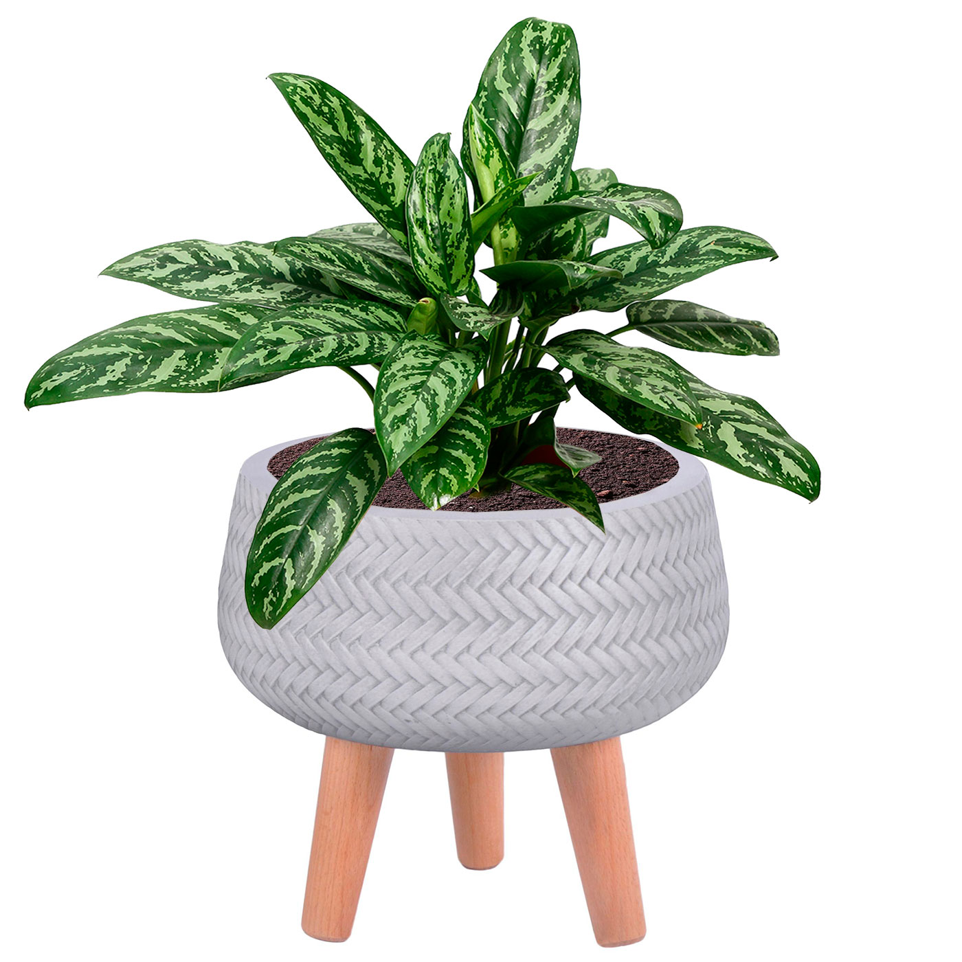 Plaited Style White Bowl Indoor Planter with Legs D32 H26.5 cm, 10.2 ltrs Cap.