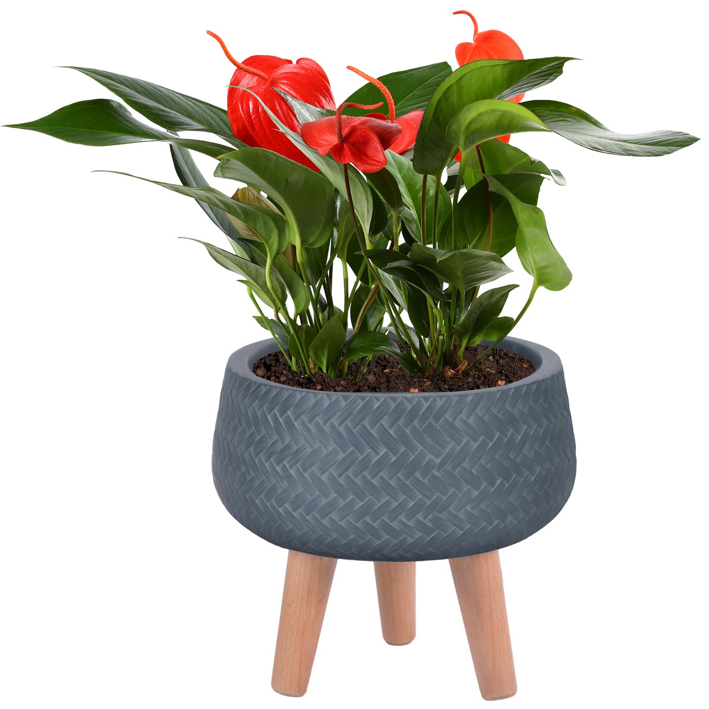Plaited Style Slate Grey Bowl Indoor Planter with Legs D24 H23 cm, 4.2 ltrs Cap.