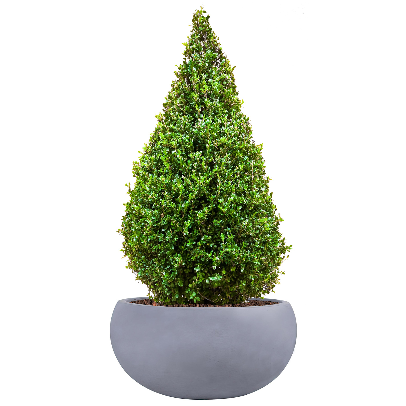 Classic Smooth Light Grey Bowl Outdoor Planter D44 H21 cm, 31.9 ltrs Cap.