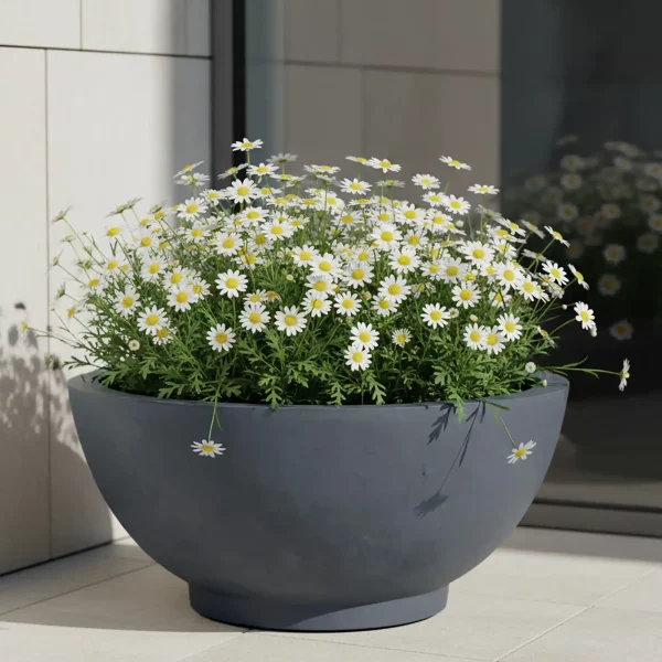 Dark Grey Dish Style Smooth Bowl Outdoor Garden Planter D35.5 H16 cm, 15.8 ltrs Cap.