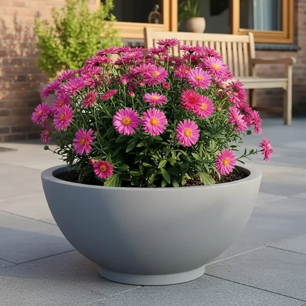Light Grey Dish Style Smooth Bowl Outdoor Garden Planter D35.5 H16 cm, 15 ltrs Cap.