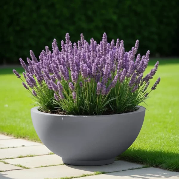 Light Grey Dish Style Smooth Bowl Outdoor Garden Planter D45 H20 cm, 31 ltrs Cap.