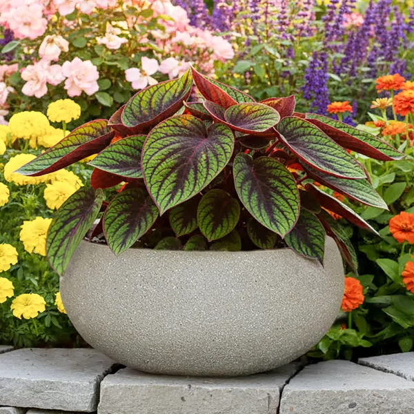 Textured Concrete Effect Sand Color Bowl Outdoor Garden Planter D30 H14 cm, 9 ltrs Cap.