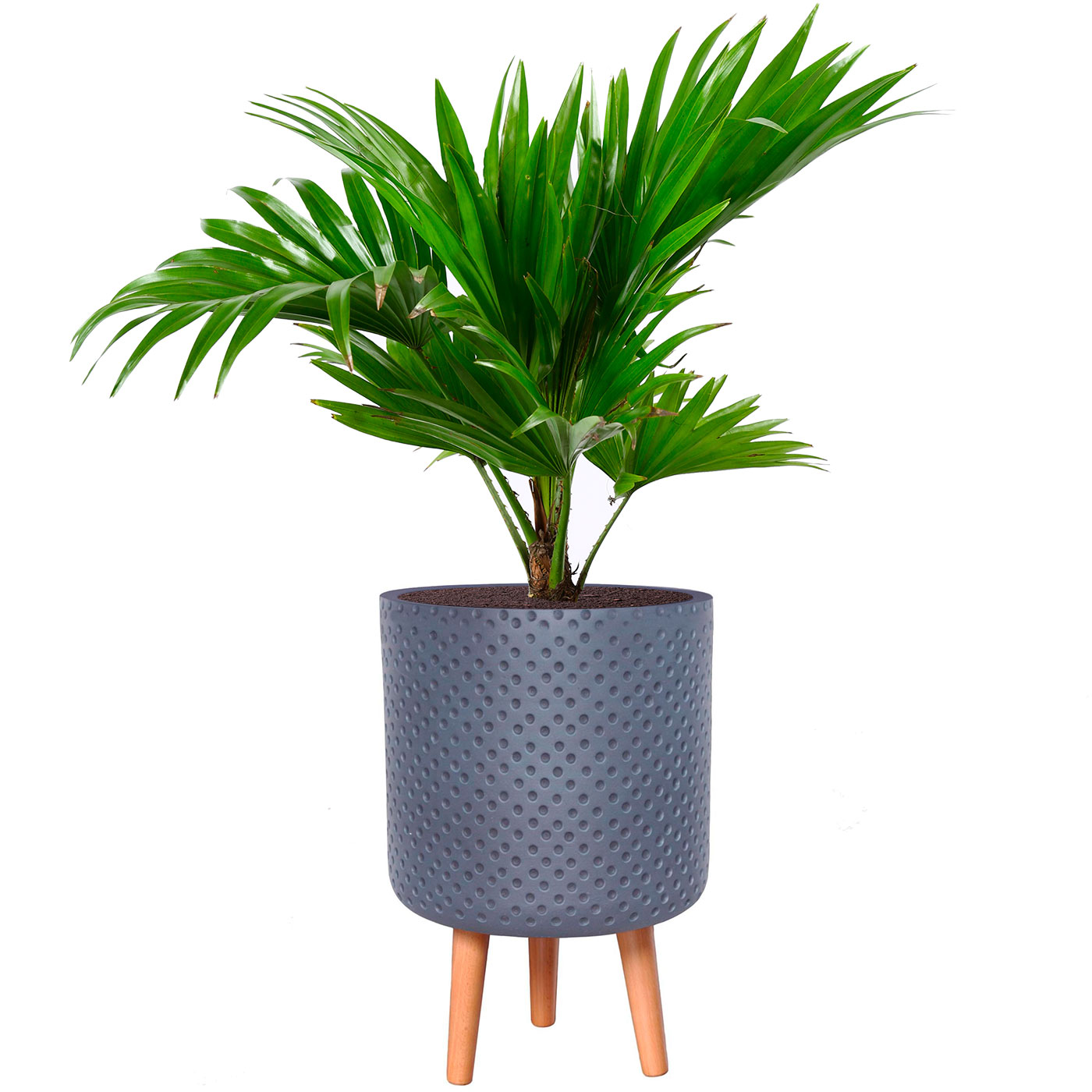 Dotted Style Grey Cylinder Indoor Planter with Legs D24.5 H35 cm, 10 ltrs Cap.