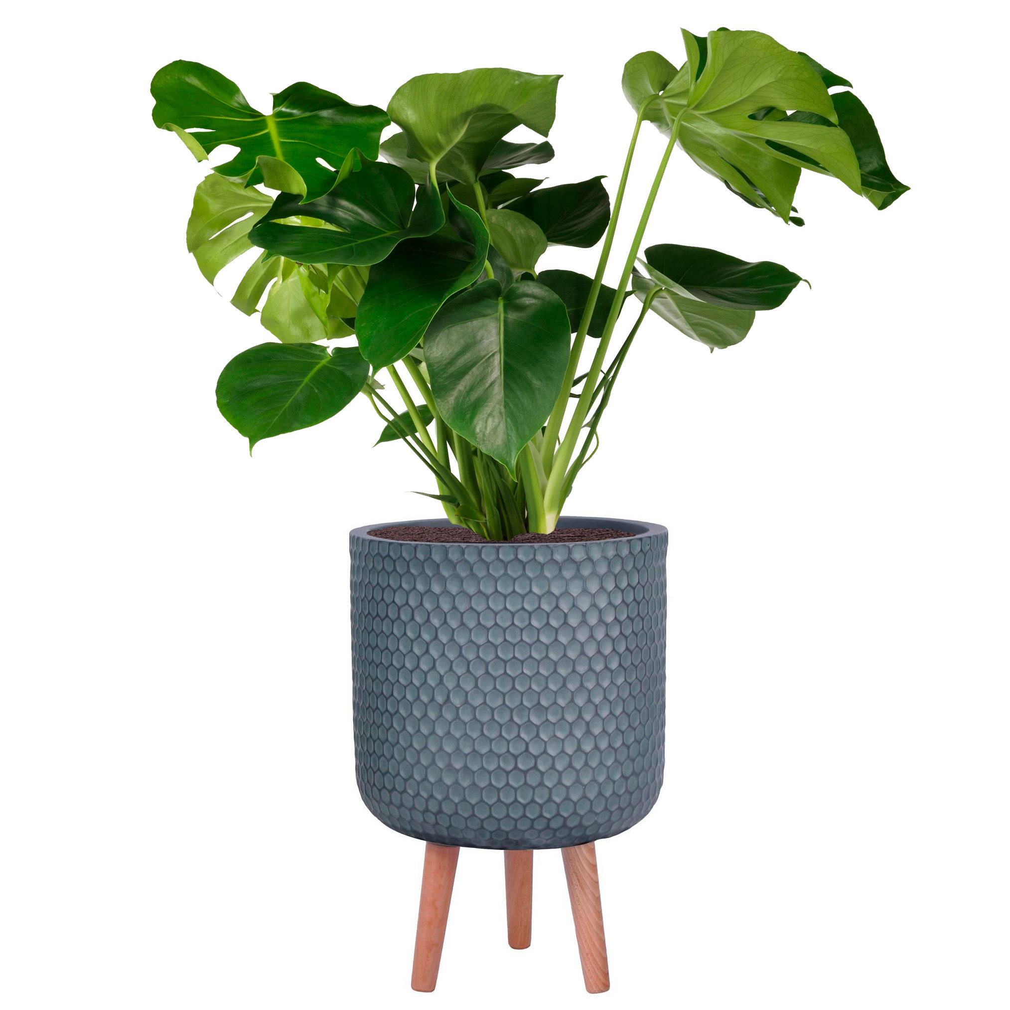Honeycomb Style Slate Grey Cylinder Round Indoor Planter with Legs D31 H47 cm, 19.8 ltrs Cap.