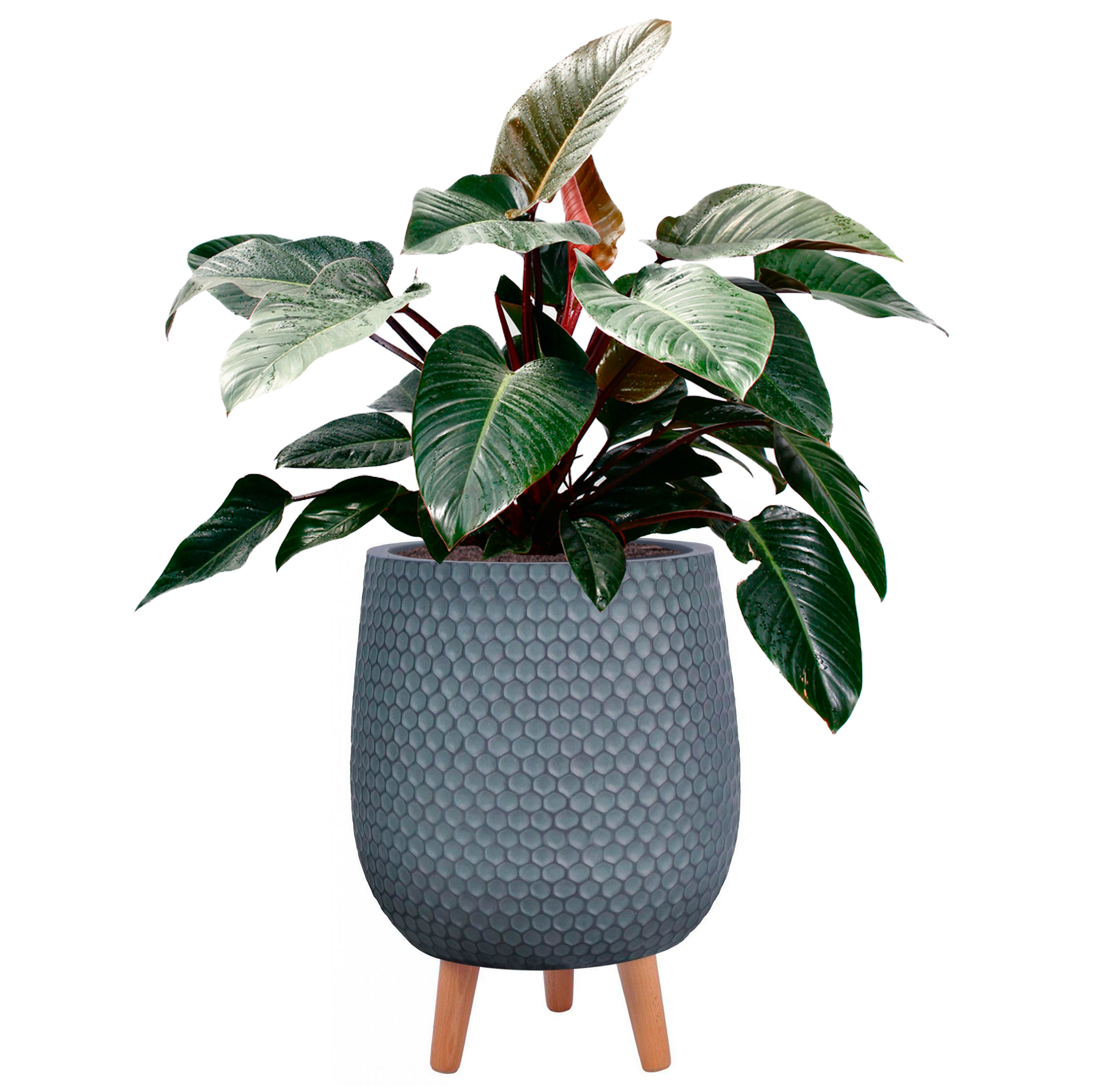 Honeycomb Style Slate Grey Indoor Egg Planter with Legs D44 H55 cm, 59.6 ltrs Cap.