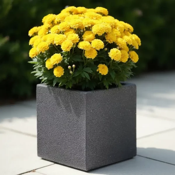 Textured Concrete Effect Square Grey Outdoor Planter W24.5 H25.5 L24.5 cm, 15 ltrs Cap.