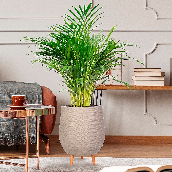 indoor-planters-buy-flower-pots-for-house-plants-online-uk-idealist