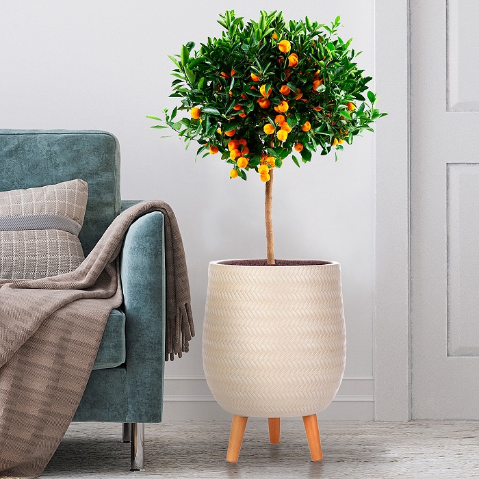 Table planters indoor buy desk plant pot online UK IDEALIST