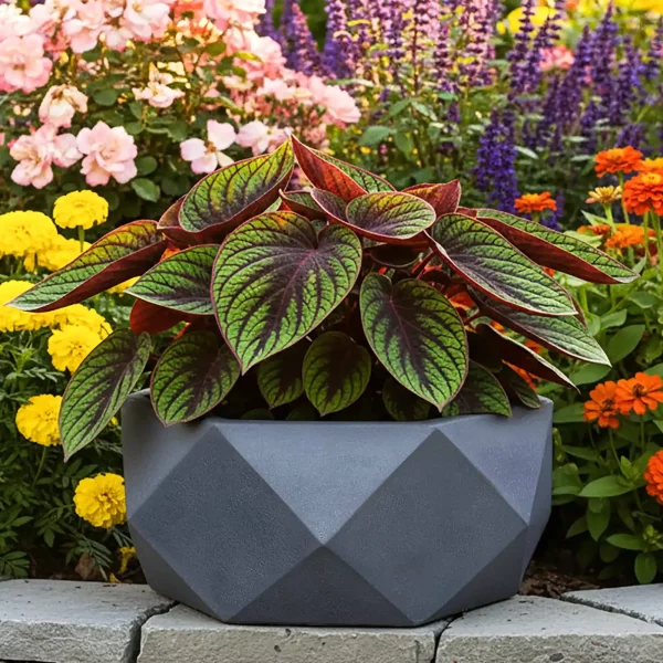 Geometry Style Grey Bowl Garden Planter, Indoor Plant Pot D30 H15 cm, 10 ltrs Cap.