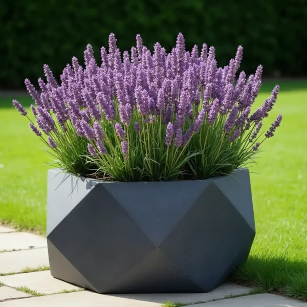 Geometry Style Grey Bowl Garden Planter, Indoor Plant Pot D58 H28 cm, 73 ltrs Cap.