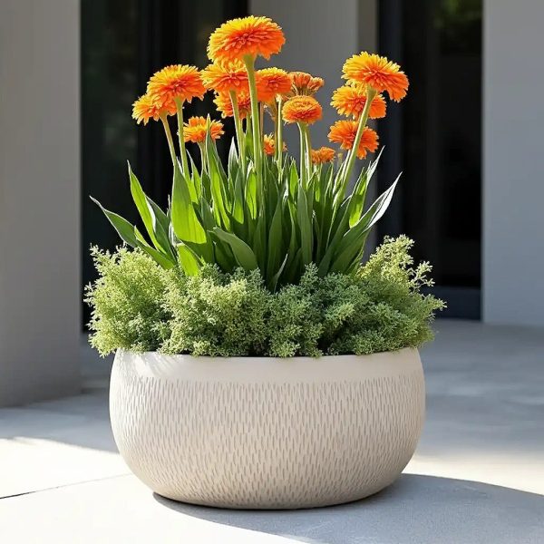 Mesh Style White Bowl Garden Planter, Outdoor Plant Pot D29 H13.5 cm, 9 ltrs Cap.