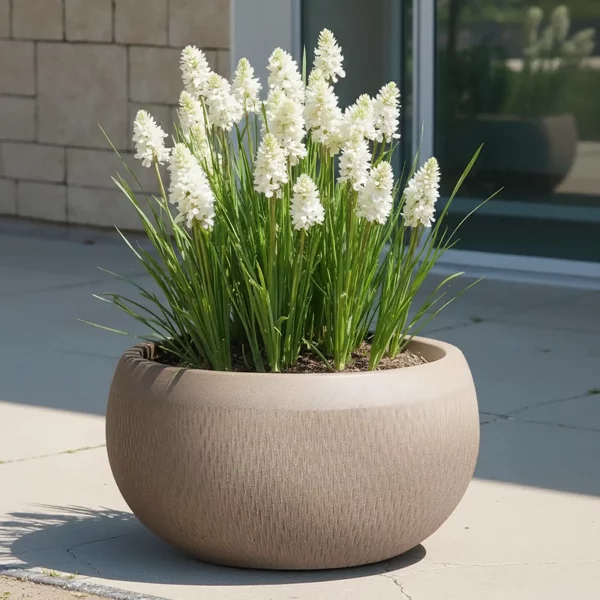 Mesh Style Taupe Bowl Garden Planter, Outdoor Plant Pot D43 H21.5 cm, 31 ltrs Cap.