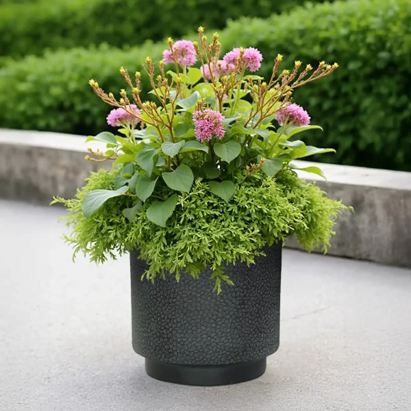 Hammered Stone Black Cylinder Planter, Outdoor Plant Pot D30 H30 cm, 17 ltrs Cap.