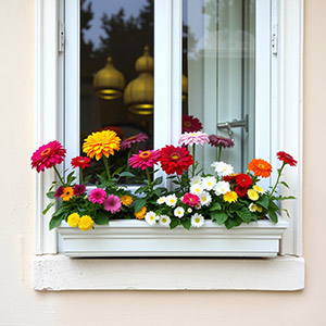 Vibrant window box with mixed flowers and plants in a stylish arrangement