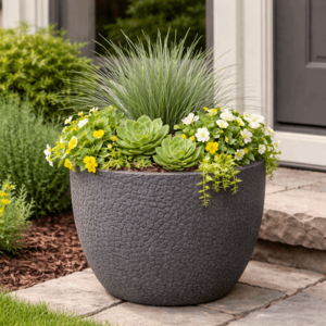 Low-Maintenance_Plant