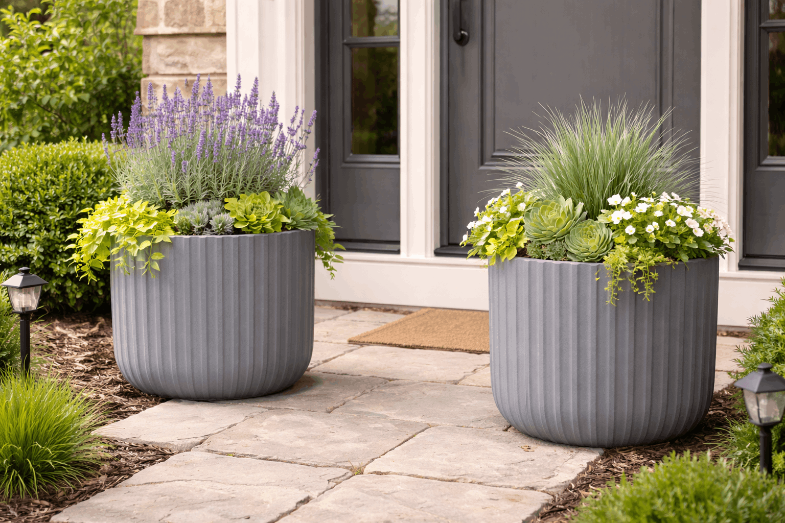 A low-maintenance plant