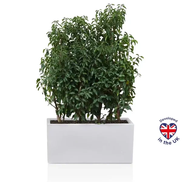 White Light Concrete Trough Garden Planter H51.5 L100 W36 cm, 185 ltrs Cap.