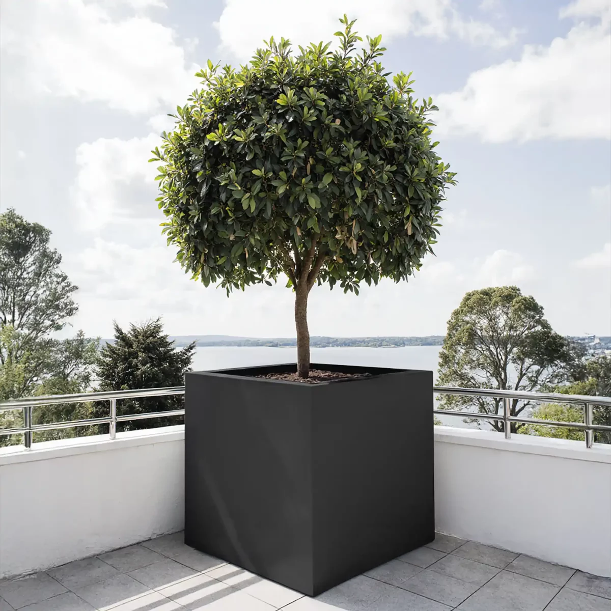 PURE Cube Black-Grey Fibreglass Extra Large Outdoor Square Planter for ...