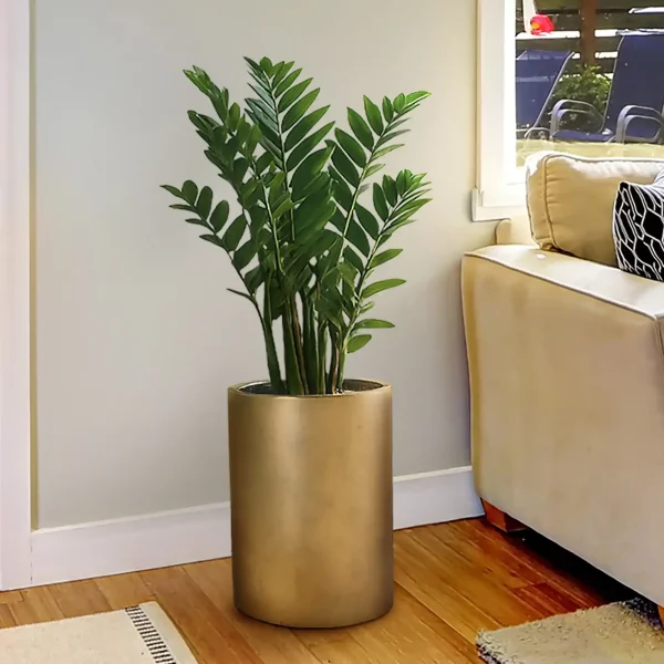Gold Light Concrete Tall Round Planter, Indoor Plant Pot D22 H45 cm, 16 ltrs Cap.